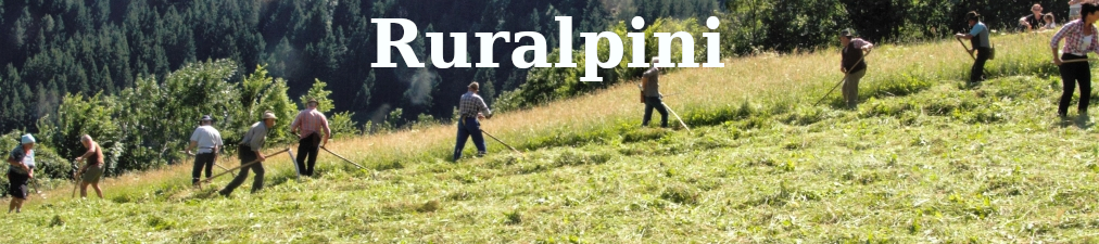 Ruralpini